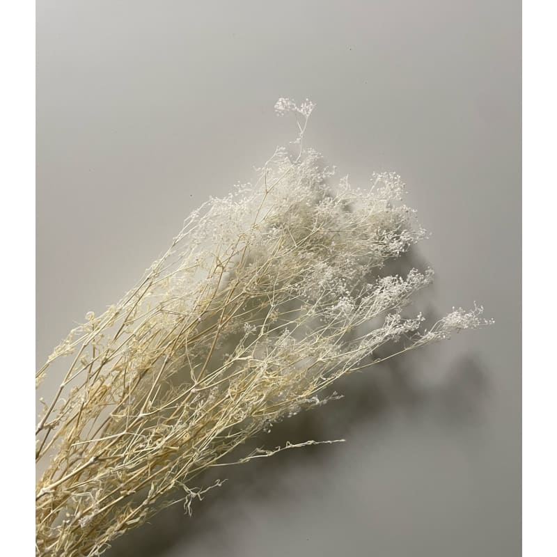 Gypsophile blanc - Ma Boite à Fleurs