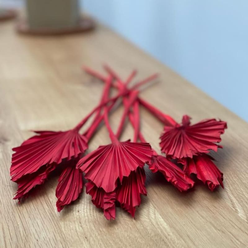 Feuilles de palmier Rouge - Ma Boite à Fleurs